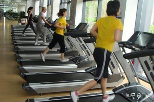 家用跑步機(jī)與商用跑步機(jī)的區(qū)別