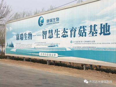 心中有光，眼底有海 10月