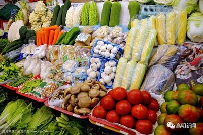 高明首座農(nóng)產(chǎn)品快檢室投用，織密餐桌安全防護(hù)網(wǎng)